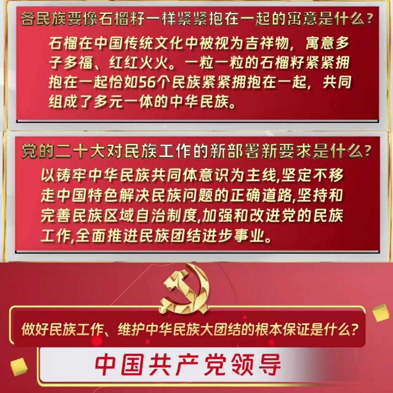 中心第二党支部组织铸牢中华民族共同体意识专题学习